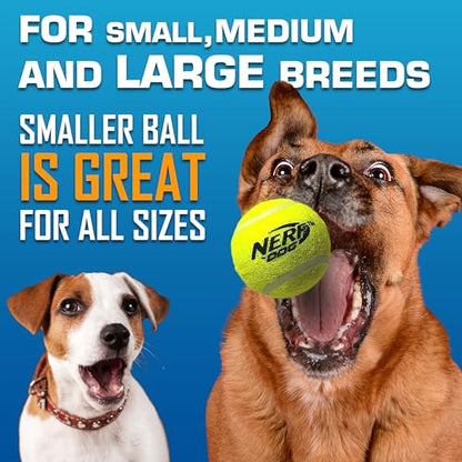 Nerf Dog Tennis Ball Blaster Dog Toy Gift Set, Tennis Ball Dog Fetch Toy Launches up to 50 ft, Dog Ball Thrower for All Breeds Includes Translucent Blue Tennis Ball Launcher and 3 Dog Tennis Balls - size: 4 Piece Set