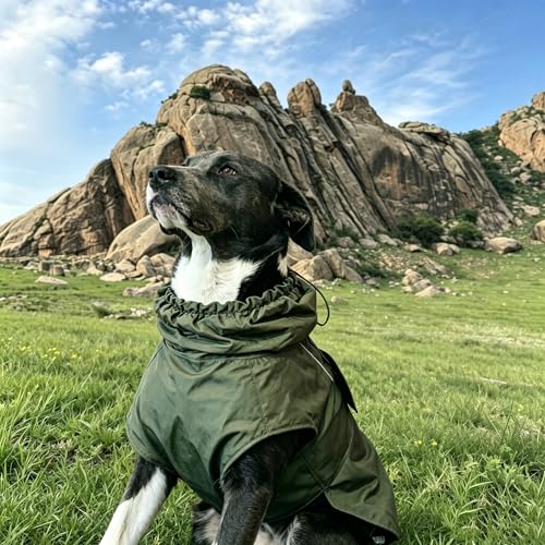 Waterproof Dog Raincoat, Adjustable Lightweight Dog Rain Jacket with Reflective Strip Leash Hole for Small Medium Large Dogs (Green, Large(22-37lb)) - color: Green, size: Large(22-37lb)