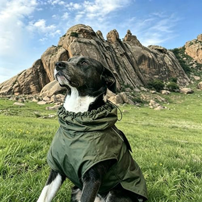 Waterproof Dog Raincoat, Adjustable Lightweight Dog Rain Jacket with Reflective Strip Leash Hole for Small Medium Large Dogs (Green, XX-Large(55-77lb)) - color: Green, size: XX-Large(55-77lb)