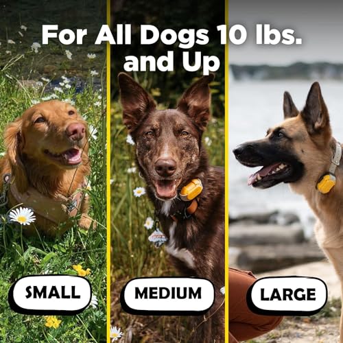 Dogtra CUE Yellow – E-Collar for Dogs Training Collar with Remote – Training Made Easy for Everyday Dog Owners – Gentle Vibration, Custom Boost, Waterproof, Rechargeable, 400-Yard Range System - color: Gen 1 Yellow