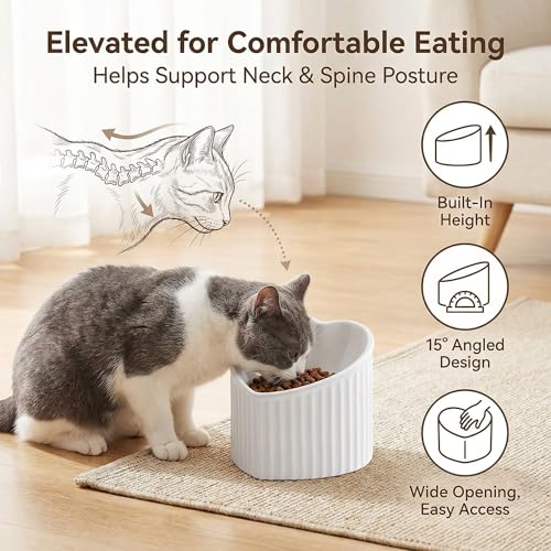 Pink Ceramic Raised Cat Bowls, Tilted Elevated Food or Water Bowls, Stress Free, Backflow Prevention, Dishwasher and Microwave Safe, Lead & Cadmium Free - color: Pink