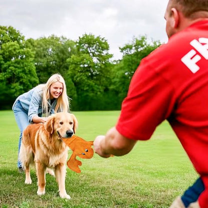 Squeaky Dog Toy No Stuffed Dog Toys,Lobster Puppy Toys for Small Medium Large Breed pups Teething Interactive Toy to Keep Them Busy, Best Christmas Birthday Gift - color: Orange