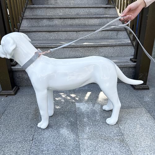 Dog Leash 6ft Long,Traffic Padded Two Handle,Heavy Duty,Double Handles Lead for Control Safety Training,Leashes for Large Dogs or Medium Dogs,Dual Handles Leads (Grey, 25MM*6FT) - color: Grey