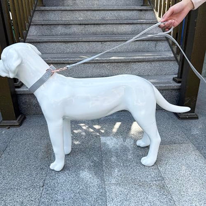 Dog Leash 6ft Long,Traffic Padded Two Handle,Heavy Duty,Double Handles Lead for Control Safety Training,Leashes for Large Dogs or Medium Dogs,Dual Handles Leads (Grey, 25MM*6FT) - color: Grey