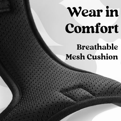 rabbitgoo Dog Harness Small Sized, No Pull Easy On & Off with 3 Buckles Pet Harness, Adjustable Soft Walking Vest with 2 Clips and Handle, Reflective for Small Dogs, Mountain Black, S - color: Mountain Black, size: Small