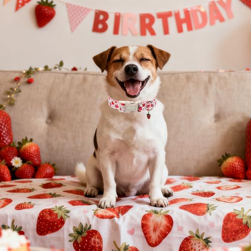 DOGWONG Strawberry Dog Collar, Cute Pink Strawberry Pet Collars with Quick Release Buckle for Puppy Small Medium Large Boy Girl Dogs-XS - color: Z: Strawberry, size: Extra Small
