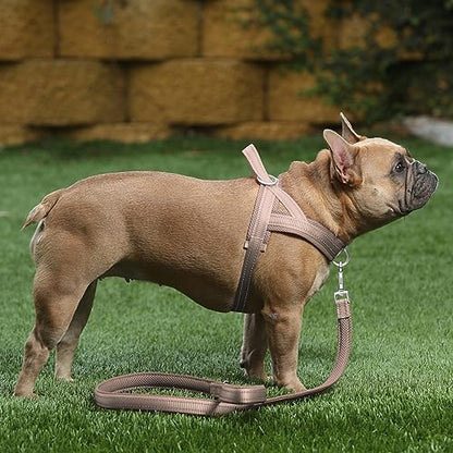 Plutus Pet No Pull Dog Harness with Breathable Mesh Padded, Adjustable Reflective Escape Proof Dog Harness, Quick Fit Dog Vest Harness for Small Medium Large Dogs(XXS, Beige) - color: Beige, size: XXS: chest 11.8"-15"