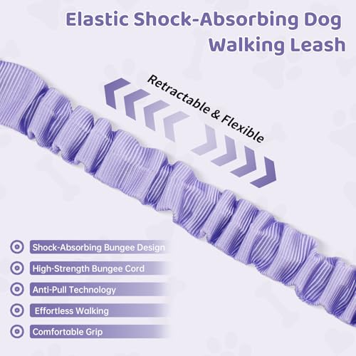 Hands Free Dual Handle Retractable Bungee Leash with Reflective Trim, Adjustable Waist Belt for Dog Walking, Running, Hiking - Durable Nylon Leash for Medium Large Dogs, Purple