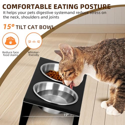 Elevated Cat Food Bowl,15°Tilted Stand Anti Vomiting Raised Cat Dishes for Food and Water,2 Stainless Steel Bowls,Non-Slip No Spill,Cats and Puppy - size: Stainless Steel-2 Bowls