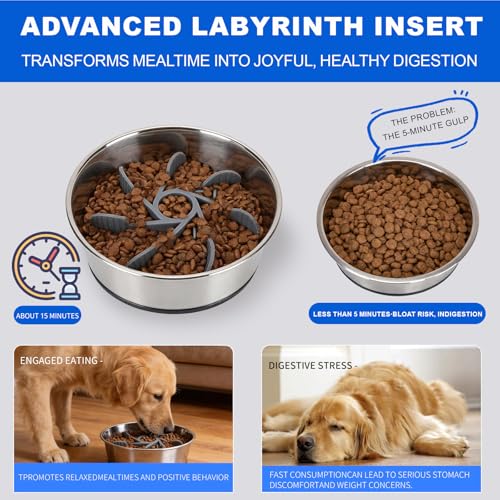 Set of 2 Pack Stainless Steel Dog Bowls & 1x Slow Feeder Insert, 64oz/8 Cups Non Slip Dog Metal Food Bowl & Water Bowl with Rubber Bottom (M Size for Small Medium Dogs) Dishwasher Safe - size: 8 CUP