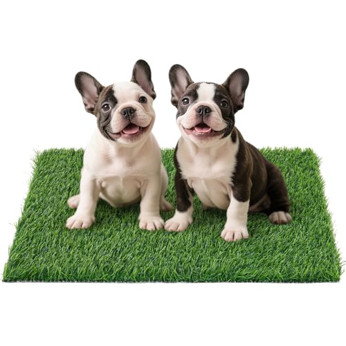 Artificial Grass Pad for Dogs Potty: 33.2X20.8 Inches Fake Grass for Dogs Puppy Potty Training to Pee and Poop on Balcony, Backyard, Patio, Apartment - Protect Floor and Furnitures, 2X Faster Drainage - size: L-33.2"X20.8"