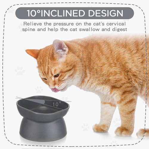 4 Pieces Plastic Tilted Elevated Cat Bowls Raised Cat Food Bowls Elevated Feeding Dish for Flat Faced Kitten Kitty Pets Supplies(White and Grey) - color: White and Grey