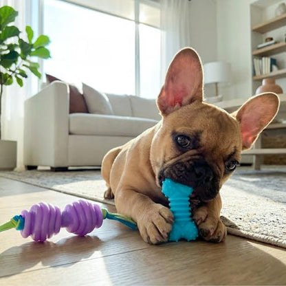 Chew Dog Toys for Teething Puppies & Small Dogs up to 15 lbs, Multi-Texture Dental Support, Bounces & Floats, Moderate Chewers, 2-Pack, 5" - size: Mini (Pack of 2)