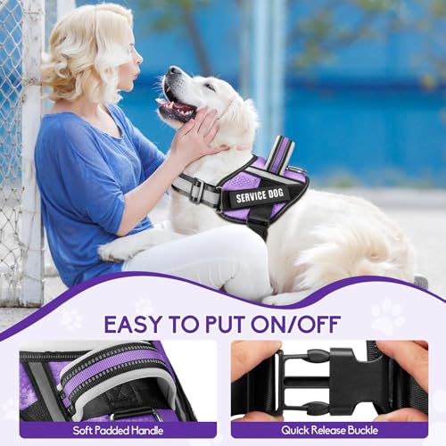 Service Dog Harness and Leash Set, XS, Purple, with 10 Patches, Reflective, for Small Dogs - color: Purple, size: XS