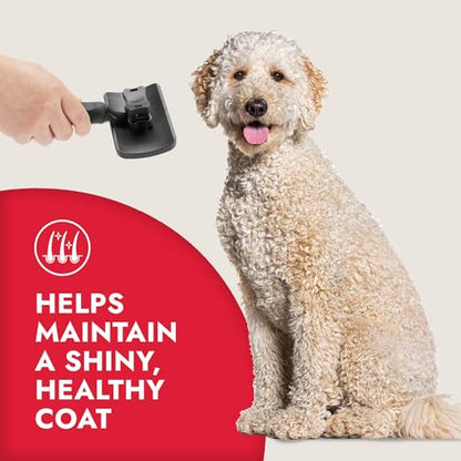 KONG Large Self-Cleaning Slicker Brush – Easy Hair Removal, Reduces Shedding, Non-Slip Grip, Long Metal Pins, for Medium to Large Dogs with Medium to Long Coats, Red/Gray - size: Large Self-Cleaning Slicker
