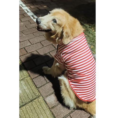 Turtleneck Dog Shirt Cute Doggie Embroidery Super Soft Dog Sweatshirt Stretchy Striped Puppy Pullover for Cats Small Medium Large Dogs (Red Striped, X-Small) - color: Red Striped, size: X-Small