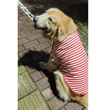 Turtleneck Dog Shirt Cute Doggie Embroidery Super Soft Dog Sweatshirt Stretchy Striped Puppy Pullover for Cats Small Medium Large Dogs (Red Striped, X-Small) - color: Red Striped, size: X-Small