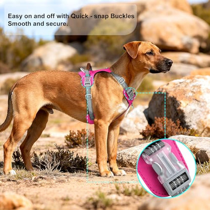 No Pull Dog Harness – Adjustable Reflective Nylon Vest for Small Medium Large Dogs, Escape Proof Training Harness with Leather Control Handle, Lightweight Aluminum Hardware (Hot Pink, S) - color: Hot Pink, size: S