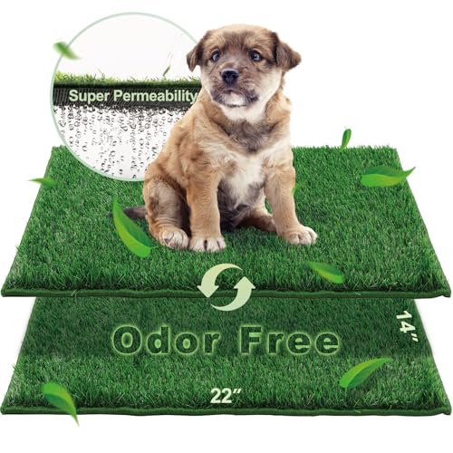 HQ4US 4LEGS Artificial Grass, Dog Pee Grass Pads for Dogs Potty, 2PCS Odor Free Fake Grass for Dogs Small 22" x 14" with Countless Drainage Holes, Dog Potty Grass Hemmed Edge Realistic - size: S - 22'' x14'' for Dog＜ 19" Length