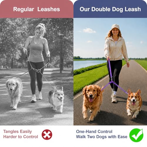 Double Dog Leash for Two Dogs, Complete Set with 31.5" Main Leash + Adjustable Splitter, Padded Handle, D-Ring, 360° Swivel, Shock-Absorbing Bungee, Reflective for Small Medium Large Dogs (Purple) - color: Purple