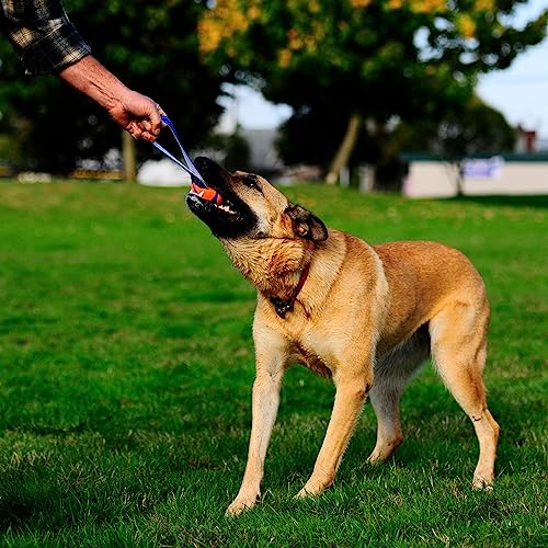 Chuckit! Ultra Tug Dog Toy - Ultra Ball on a Durable Nylon Cord Handle - Fetch and Tug-of-War Toy for Dogs - Size Large - For Breeds 60-100 lbs - 3-inch Diameter - Orange and Blue - size: Large, style: Ultra Tug
