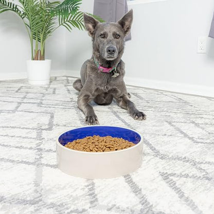 SPOT Standard Crock Dish - Heavy Duty, Non-Slip, Round Ceramic Food/Water Bowl for Pets, Ideal for Medium to Large Dogs or Multiple Animals, Dishwasher Safe - 9.5 in, 8 Cups, (64 Oz)(Pack of 6) - size: 9.5" (Pack of 6)