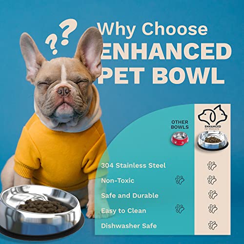 Enhanced Pet Bowl – Slanted Stainless Steel Dog Bowl for Breeds Like Bulldogs, Pugs – Raised Back, No-Spill, Reduces Gas & Mess – Medium Size, Non-Slip, Food-Grade - Does Not Ship from China - size: Medium