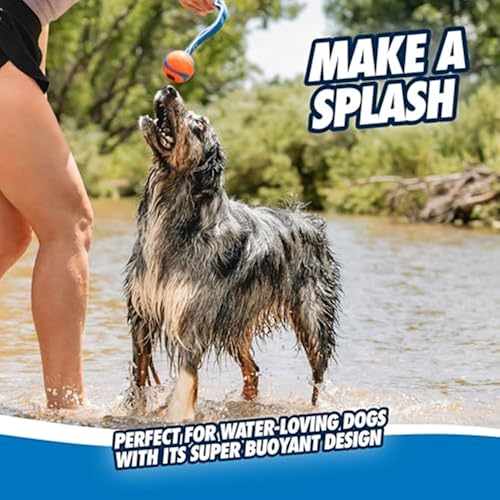 Chuckit! Ultra Tug Dog Toy - Ultra Ball on a Durable Nylon Cord Handle - Fetch and Tug-of-War Toy for Dogs - Size Large - for Breeds 60-100 lbs - 3-inch Diameter - Orange and Blue (Pack of 12) - size: Large (Pack of 12), style: Ultra Tug