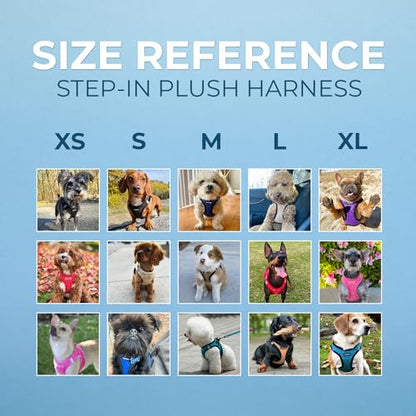 Best Pet Supplies Voyager Step-in Plush Dog Harness - Soft, Step in Vest Harness and Reflective Dog 5 ft Leash Combo with Neoprene Handle for Small and Medium Dogs, Turquoise Plush, XL - color: Harness Leash Set (Turquoise Plush), size: XL (Chest: 20.5 -