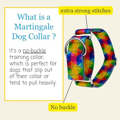 Country Brook Petz - HossFit Jr Wide Martingale Dog Collar - Groovy Collection Featuring Far Out Designs (Kaleidoscope, Medium) - color: Kaleidoscope, size: Medium (Pack of 1)