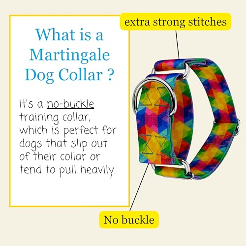 Country Brook Petz - HossFit Jr Wide Martingale Dog Collar - Groovy Collection Featuring Far Out Designs (Kaleidoscope, Large) - color: Kaleidoscope, size: Large (Pack of 1)
