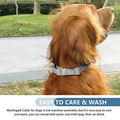 Soft Leather Martingale Dog Collar - Adjustable Rose Gold Limited Slip Collars [Easy to Clean], Stylish Durable Heavy Duty Nylon No Pull Training Collar for Small Medium Large Dogs XS Grey - color: Grey, size: XS (Neck 8"-11", Width 3/5")