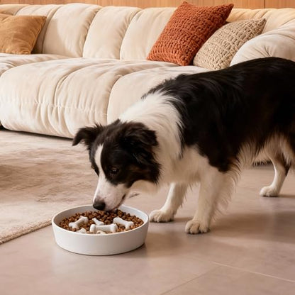 Ceramic Slow Feeder Dog Bowls, Ceramic Slow Feeder Maze Dog Food Bowl, Slow Eating Dog Bowl and Slow Feeder Dog Bowl Anti-Choking for Daily Pet Feeding （White Bone） - color: White Bone