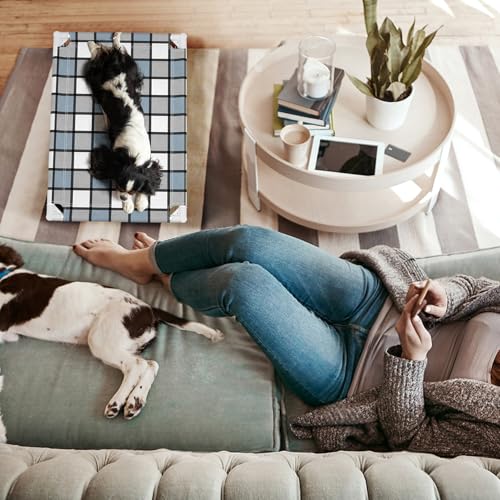 Caghash Elevated Outdoor Raised Dog Bed Outdoor Dogs Bed Lifted Pet Bed Dog Cot for Pet Taste Life, Start with A Pet Bed 26'' x 20'' x 6.5'' - size: Standard - Small Plus
