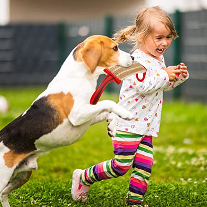 Libima 2 Pcs Dog Bite Pillow Tug Toy with Strong Handles Dog Tug of War Training Tools Jute Bite Toy for Puppy Young Small Medium Pets Interactive Play Training Equipment