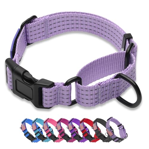 Martingale Dog Collar, Reflective No Pull Training Collar with Quick Release Buckle, Adjustable Heavy Duty Nylon Choker Collars for S M L Dogs (Lavender with Flag, L (1" x 19"-26")) - color: Lavender with Flag, size: L (1" x 19"-26")
