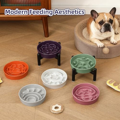 Elevated Slow Feeder Dog Bowl, 0.8 Cups Ceramic Raised Slow Feeder with Stainless Stand, 6.3 Inch Wide Lifted Dog Bowl for Small Breeds to Control Eating Speed, White - color: White, size: Small with Stand