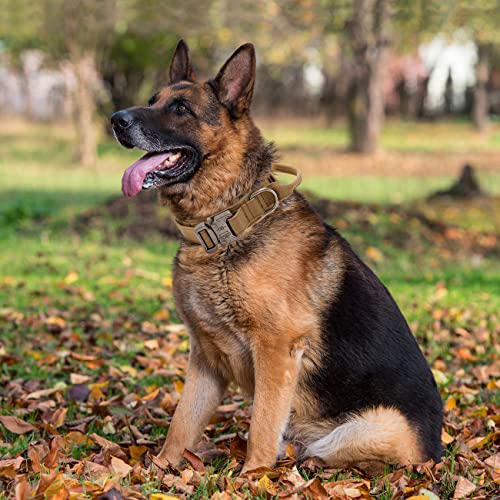 Tactical Dog Collar with Handle - Military Adjustable Dog Training Collar Soft Nylon and Heavy Duty Metal Buckle for Medium Large Dogs - with Patch (Brown, Large) - color: Brown, size: Large