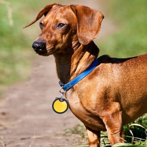 Beaupretty 6Pcs Dog Tag Silicone Sleeves Pet Tag Silencers Noise Reduction Covers for Dog Collar Black Protectors Mute Rings