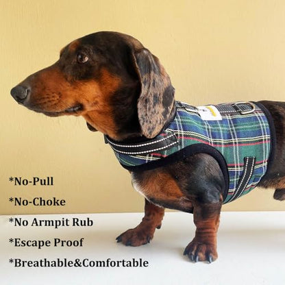 Dachshund Harness no Armpit rub, Christmas Plaid Escape Proof Doxie Harness, Adjustable Step in Dog Harness for mini & Standard Dachshund (Green, XS: Chest 10"-12"/25-31cm) - color: Green, size: XS:Chest 10"-12"/25-31cm