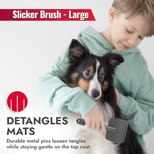 KONG Large Slicker Brush – Removes Loose Hair, Reduces Shedding, Comfortable Non-Slip Grip, Long Metal Pins, for Medium to Large Dogs with Medium to Long Coats, Red/Gray - size: Large Slicker