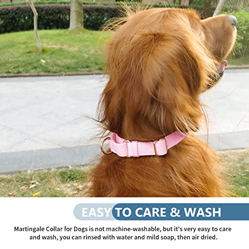 Soft Leather Martingale Dog Collar - Adjustable Rose Gold Limited Slip Collars [Easy to Clean], Stylish Durable Heavy Duty Nylon No Pull Training Collar for Small Medium Large Dogs XS Pink - color: Pink, size: XS (Neck 8"-11", Width 3/5")