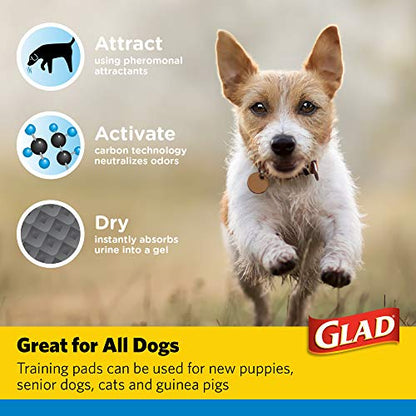 Glad for Pets Black Charcoal Puppy Pads, All-in-One | Puppy Potty Training Pads that Absorb & NEUTRALIZE Urine Instantly | New & Improved Quality Puppy Pee Pads, 14 Count (Pack of 2) - size: Regular