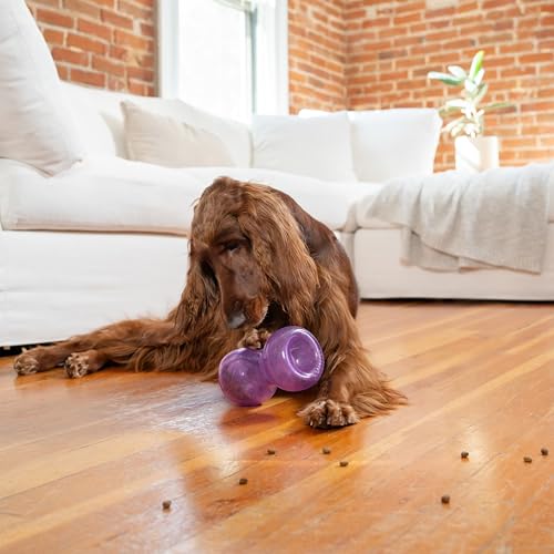 Outward Hound Double Snoop Interactive Treat Dispensing Dog Toy, Puzzle Ball Slow Feeder for Medium to Large Dogs, Mint-Scented for Mental Stimulation & Boredom Relief, 6in x 4in - color: Double Snoop (Purple)