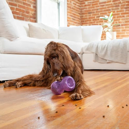 Outward Hound Double Snoop Interactive Treat Dispensing Dog Toy, Puzzle Ball Slow Feeder for Medium to Large Dogs, Mint-Scented for Mental Stimulation & Boredom Relief, 6in x 4in - color: Double Snoop (Purple)
