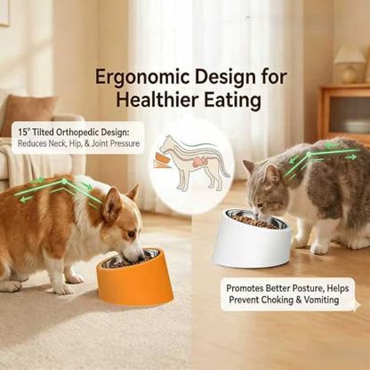 15° Tilted Dog Bowl for Small Dogs Flat-Faced Breeds - Anti-Choke Ergonomic Elevated Feeder Non-Slip Base - 2-in-1 Detachable Stainless Steel Food & Water Bowls - Classic Black Sleek Style (S, Black) - color: Black, size: S