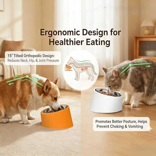 15° Tilted Dog Bowl for Small Dogs Flat-Faced Breeds - Anti-Choke Ergonomic Elevated Feeder Non-Slip Base - 2-in-1 Detachable Stainless Steel Food & Water Bowls - Pure White Clean & Simple (M, White) - color: White, size: M