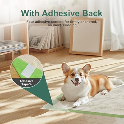 Dog Pee Pads with Adhesive Strips 50Count, 19"X30" Extra Large Disposable Pee Pads for Dogs, Non-Slip Puppy Training Pads for Crate/Cage/Carrier - size: 19" x 30" (50 Ct)