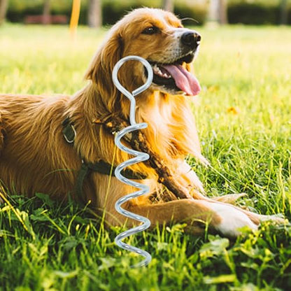 GLEAVI Dog Tie Out Stake Heavy Duty Spiral Ground Anchor Metal Stake for Large Dogs Outdoor Yard Pet Tether with Handle Sturdy Portable