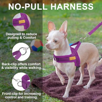 BEAUTYZOO No Pull Dog Harness Medium Sized Dog, Breathable Mesh Padded Dog Harness and Leash Set, Adjustable Reflective Escape Proof Dog Vest Harnessss Quick Fit for Training Walking, Purple M - color: Purple, size: M: Chest 21"-26.7"